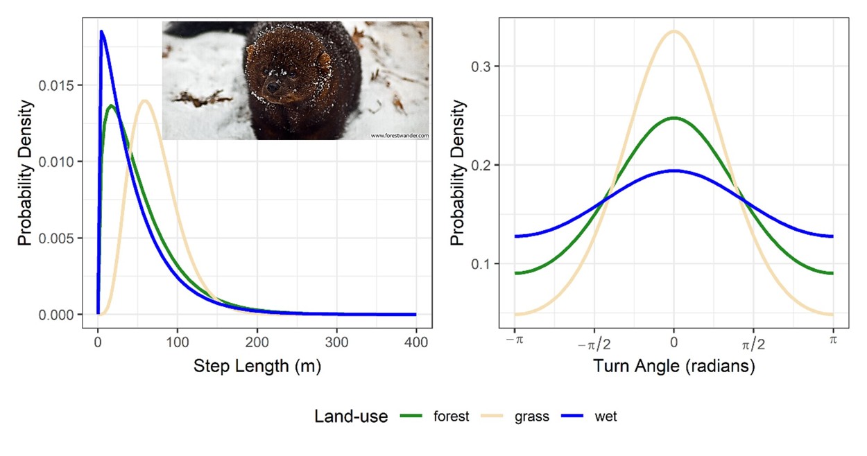 Picture of step-length and turn angle distributions by land type