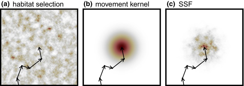 Diagram showing components of a step-selection function; Figure from Michelot et al. 2024